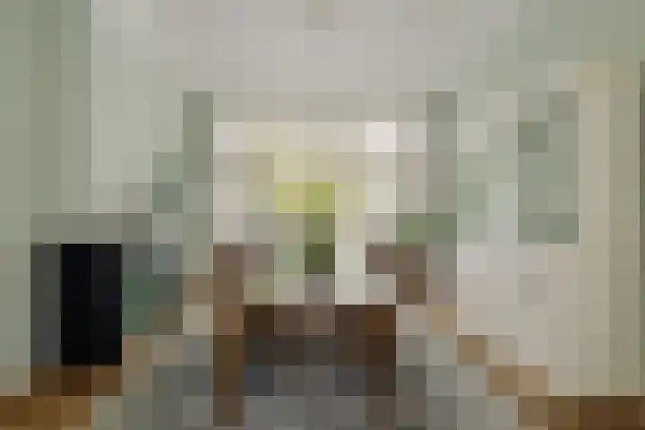 Groot Hertoginnelaan 101 Den Haag thumbnail 11
