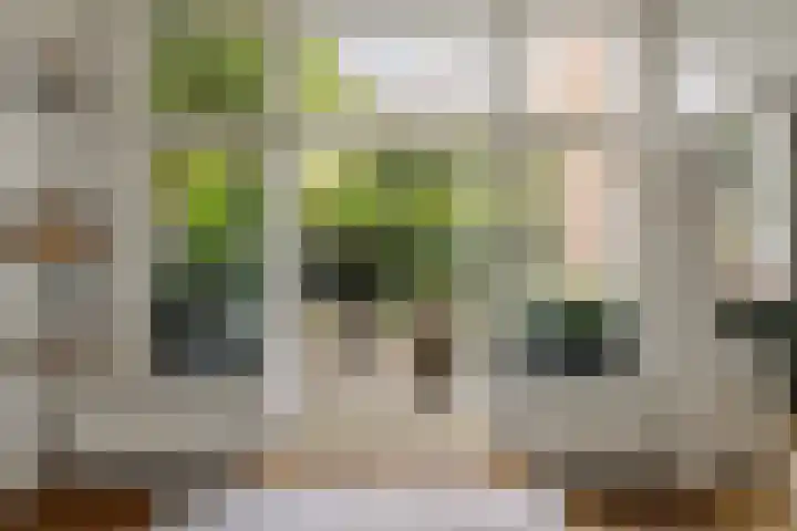 Groot Hertoginnelaan 101 Den Haag thumbnail 16