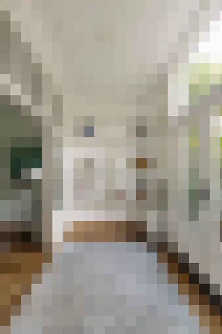 Groot Hertoginnelaan 101 Den Haag thumbnail 17