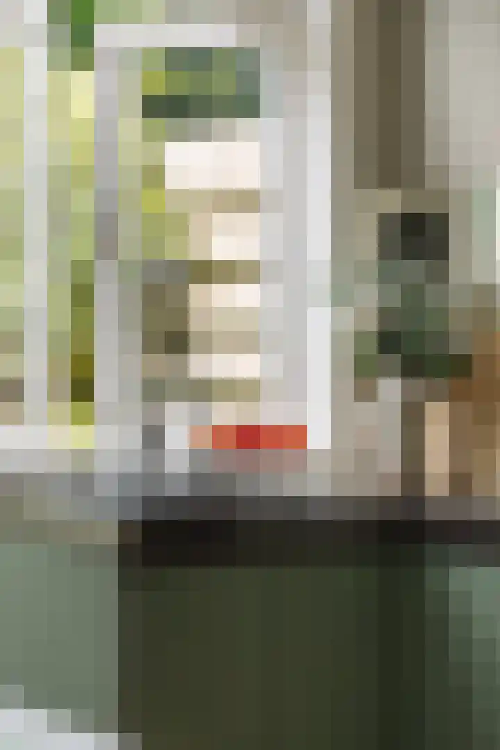Groot Hertoginnelaan 101 Den Haag thumbnail 18