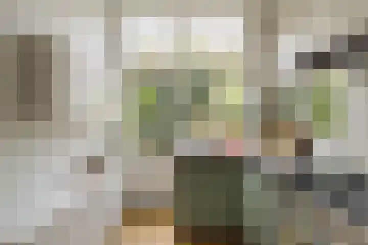 Groot Hertoginnelaan 101 Den Haag thumbnail 19