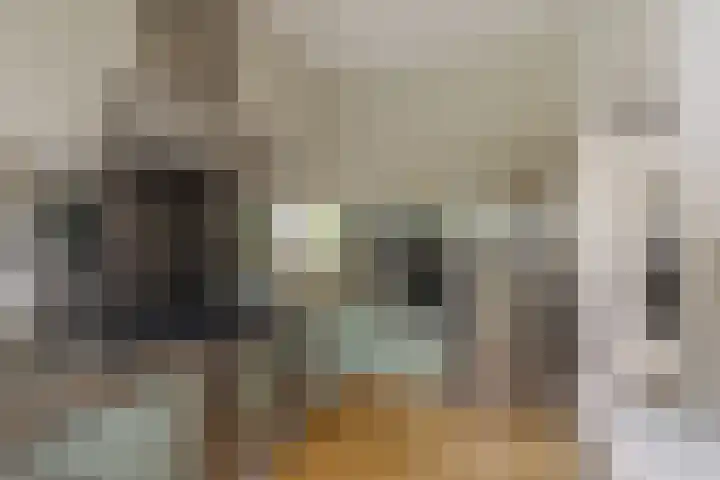 Groot Hertoginnelaan 101 Den Haag thumbnail 20