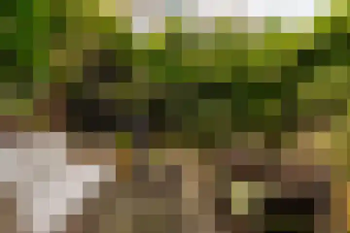Groot Hertoginnelaan 101 Den Haag thumbnail 21