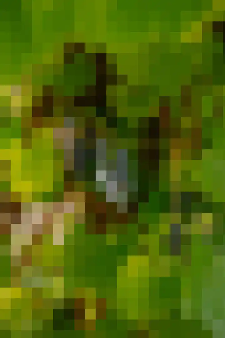 Groot Hertoginnelaan 101 Den Haag thumbnail 22