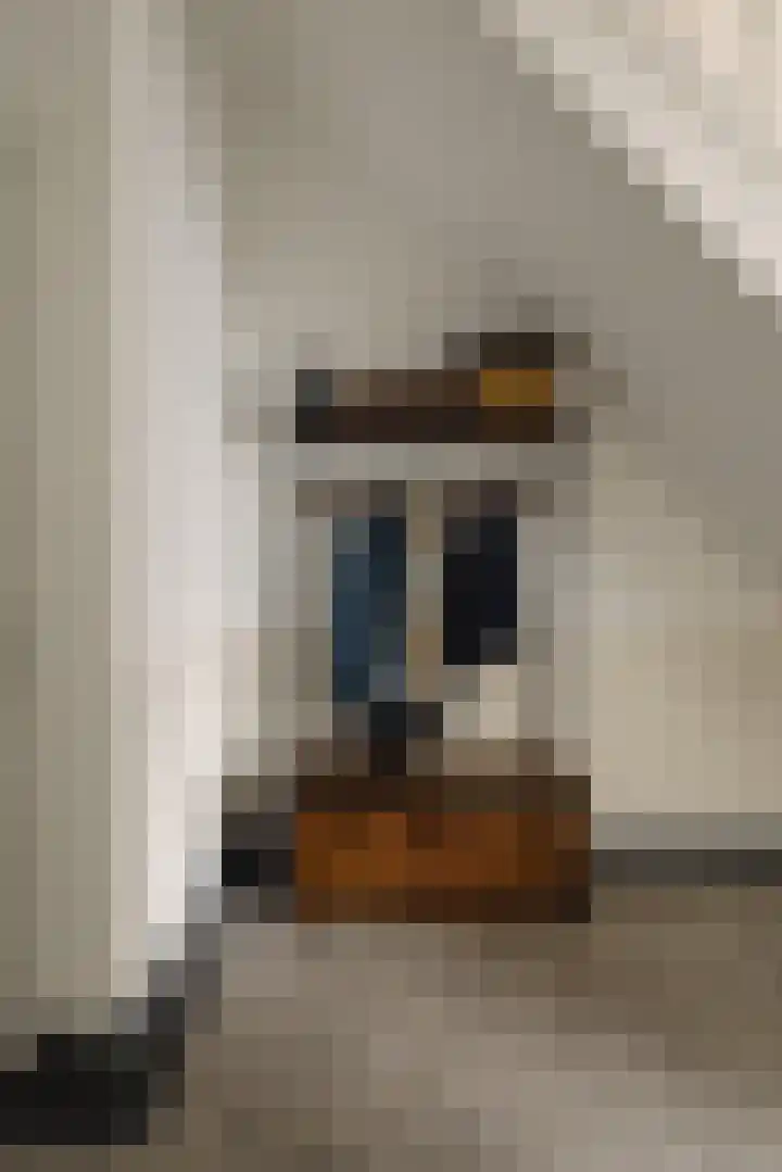 Groot Hertoginnelaan 101 Den Haag thumbnail 23
