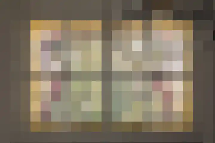 Groot Hertoginnelaan 101 Den Haag thumbnail 25