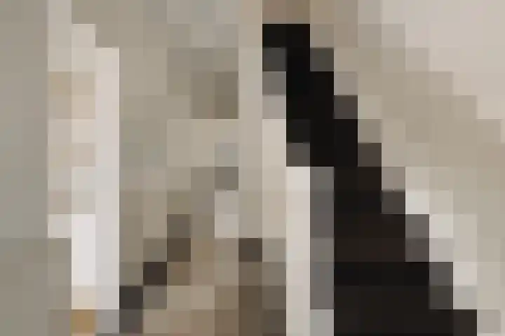Groot Hertoginnelaan 101 Den Haag thumbnail 26