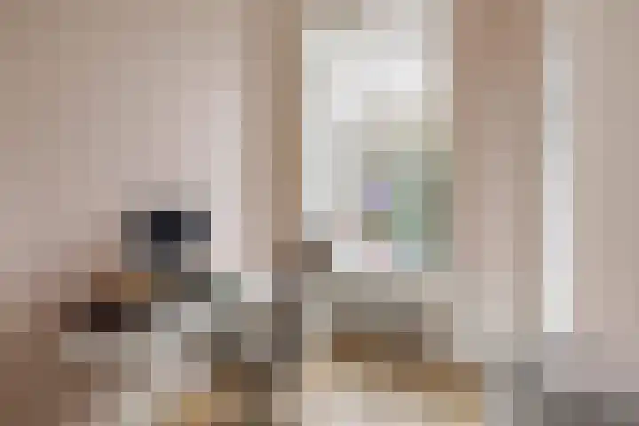 Groot Hertoginnelaan 101 Den Haag thumbnail 38