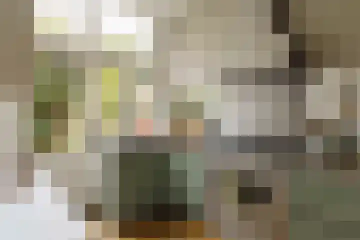 Groot Hertoginnelaan 101 Den Haag thumbnail 4