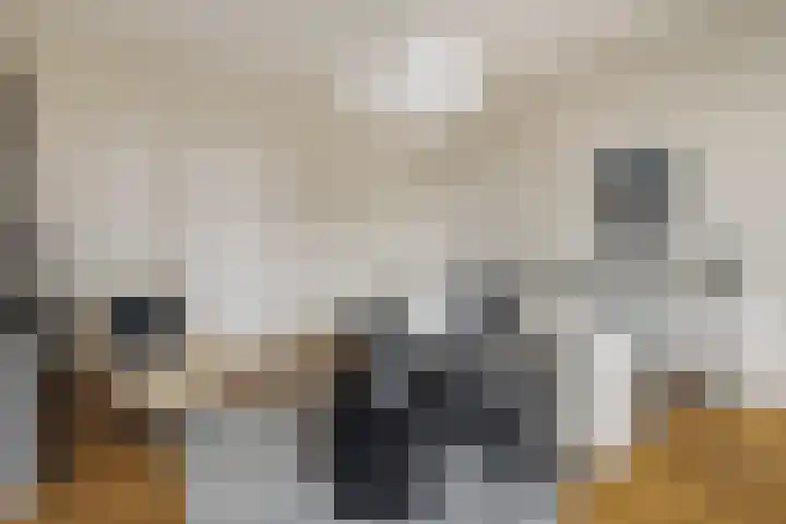 Groot Hertoginnelaan 101 Den Haag thumbnail 42