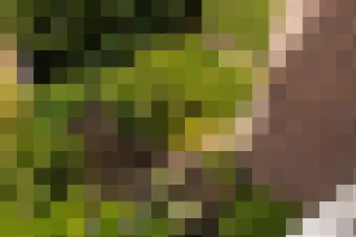 Groot Hertoginnelaan 101 Den Haag thumbnail 46