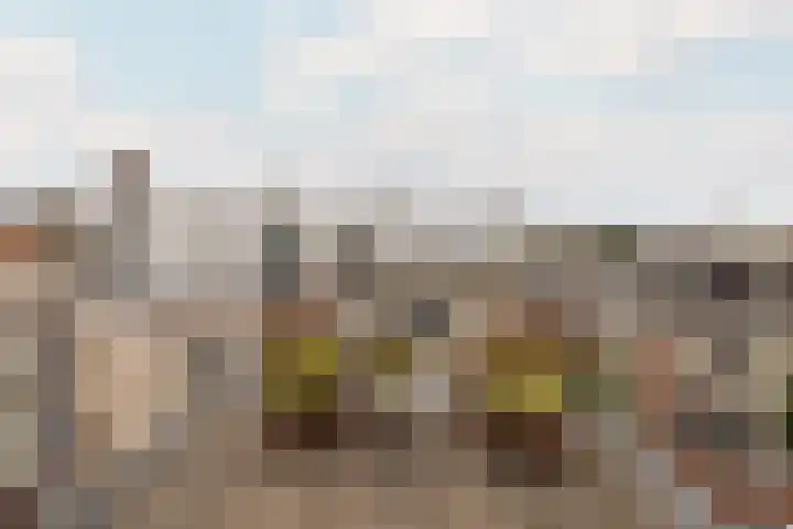Groot Hertoginnelaan 101 Den Haag thumbnail 58