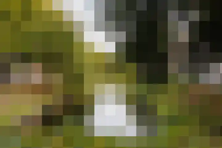 Groot Hertoginnelaan 101 Den Haag thumbnail 59
