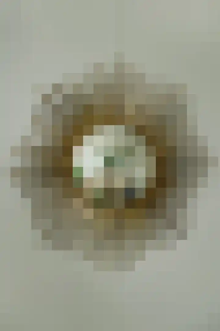 Groot Hertoginnelaan 101 Den Haag thumbnail 9