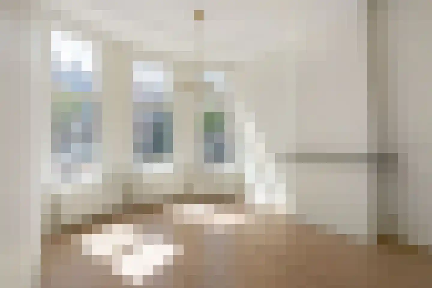 Groot Hertoginnelaan 105 A Den Haag thumbnail 9