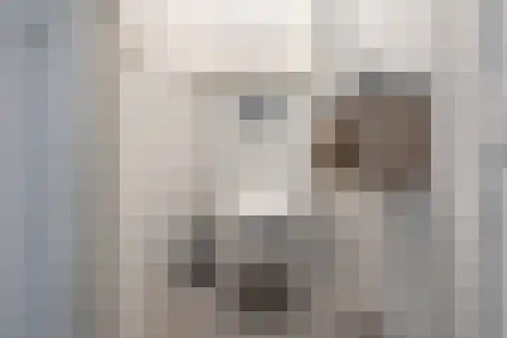 Groot Hertoginnelaan 105 C Den Haag thumbnail 20