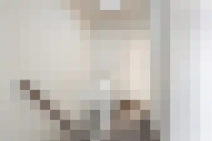 Groot Hertoginnelaan 105 C Den Haag thumbnail 6