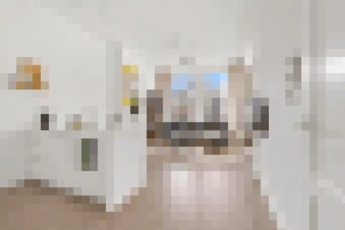 Groot Hertoginnelaan 107 B Den Haag thumbnail 14