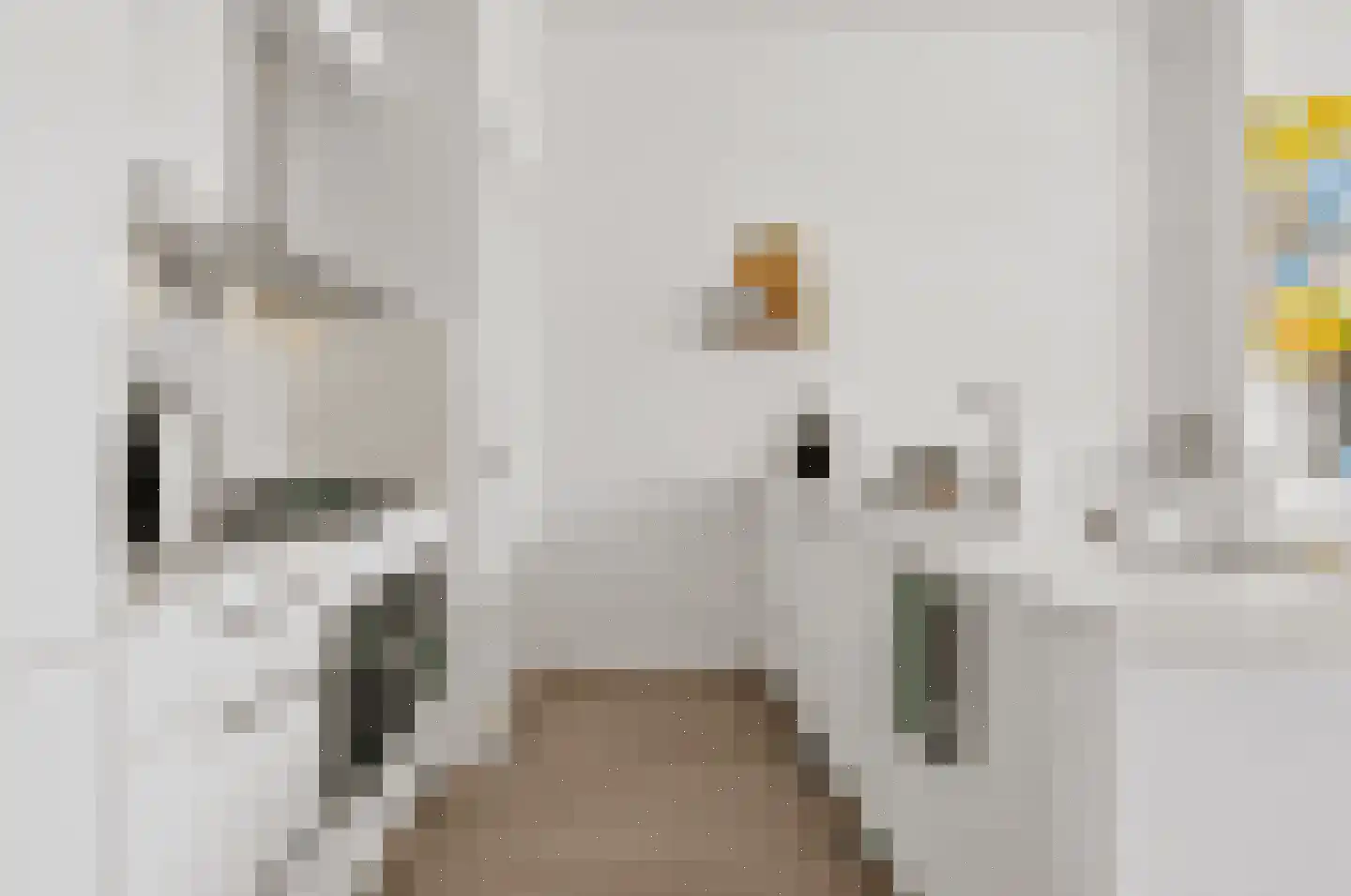 Groot Hertoginnelaan 107 B Den Haag thumbnail 15