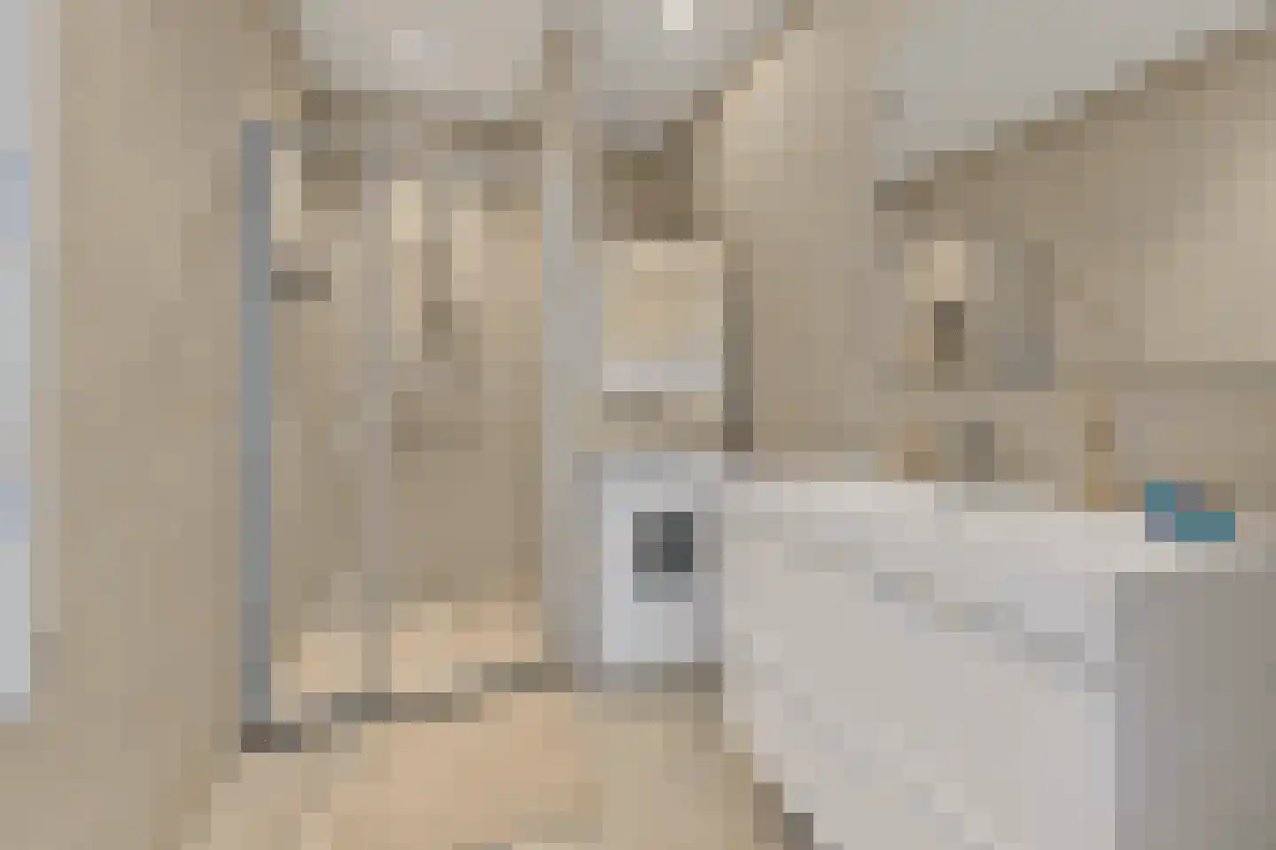 Groot Hertoginnelaan 107 B Den Haag thumbnail 20
