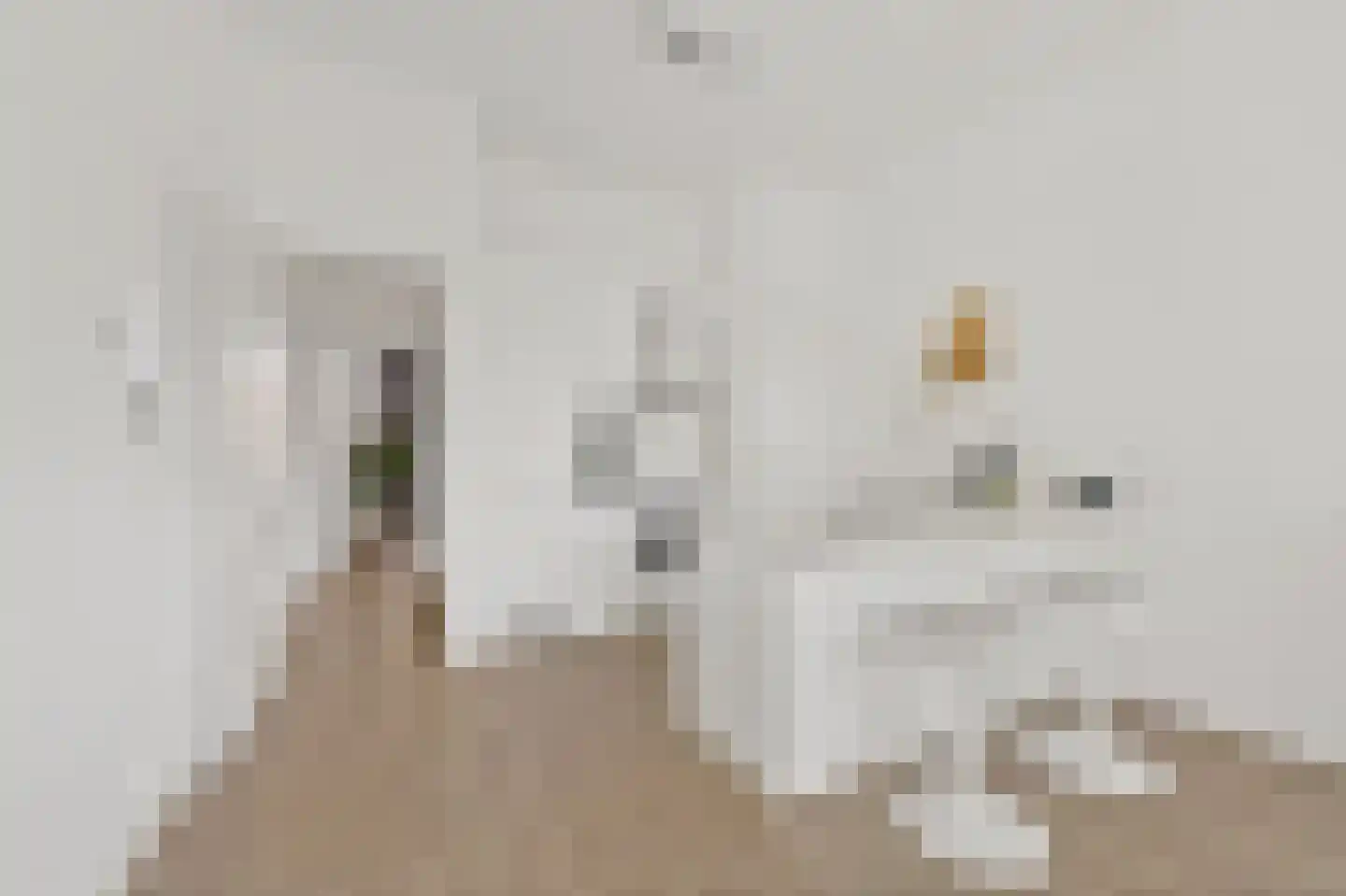Groot Hertoginnelaan 107 B Den Haag thumbnail 4