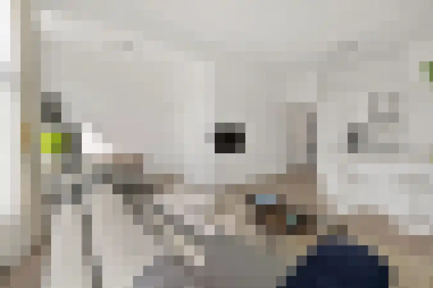 Groot Hertoginnelaan 107 B Den Haag thumbnail 9