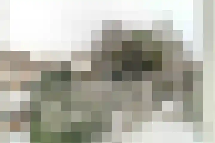 Groot Hertoginnelaan 126 A Den Haag thumbnail 11