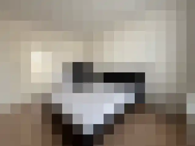 Groot Hertoginnelaan 126 A Den Haag thumbnail 35
