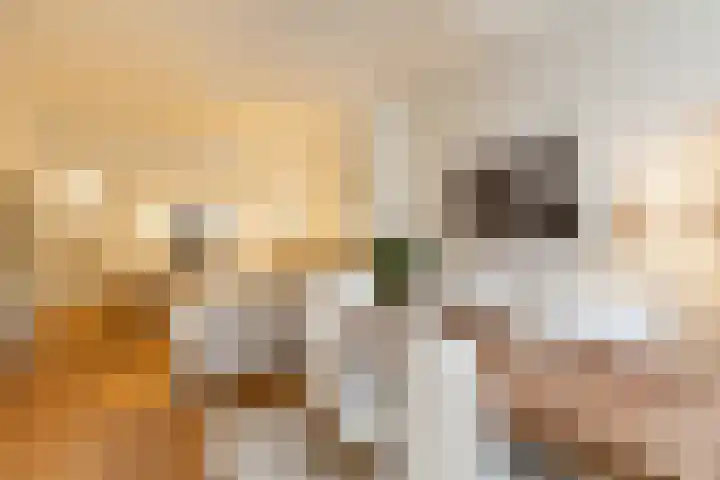 Groot Hertoginnelaan 126 Den Haag thumbnail 10