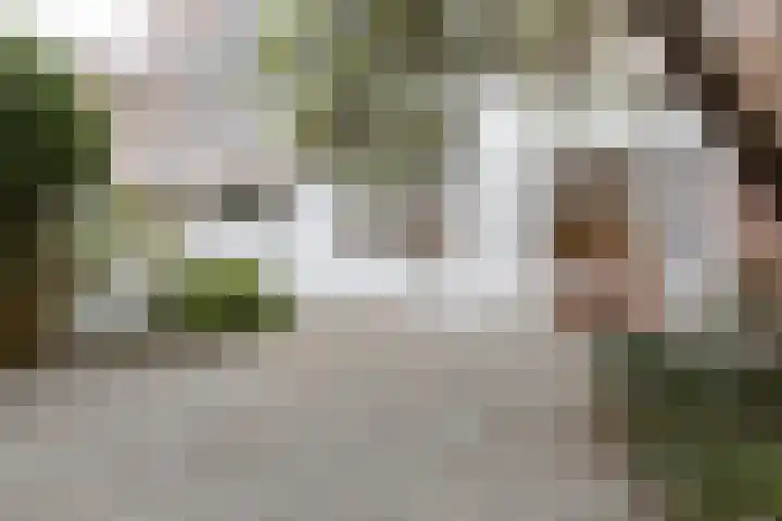 Groot Hertoginnelaan 126 Den Haag thumbnail 14
