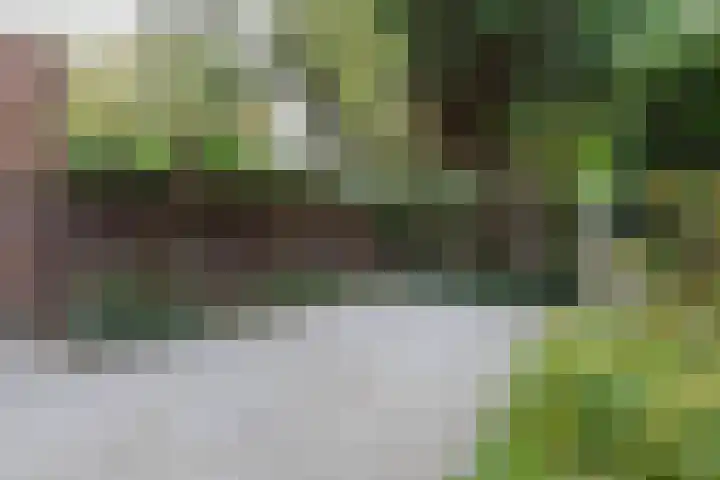 Groot Hertoginnelaan 126 Den Haag thumbnail 16