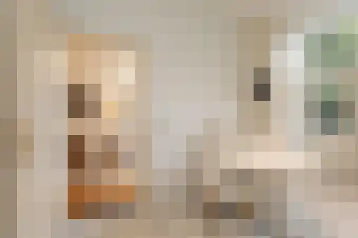 Groot Hertoginnelaan 126 Den Haag thumbnail 18