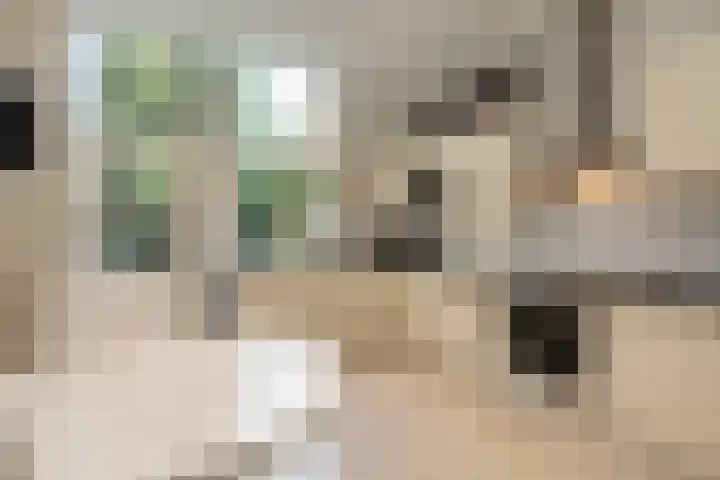 Groot Hertoginnelaan 126 Den Haag thumbnail 19