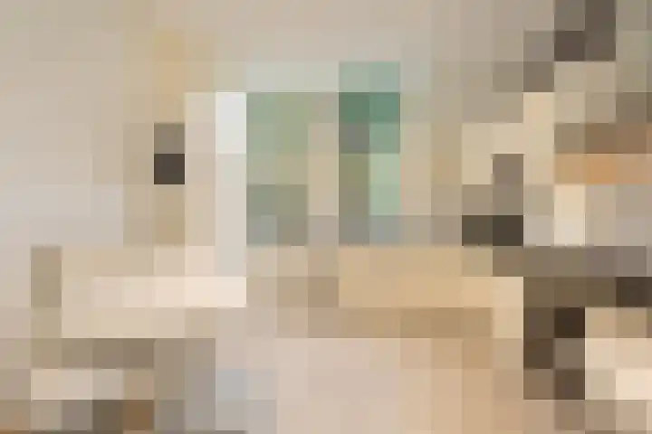Groot Hertoginnelaan 126 Den Haag thumbnail 20