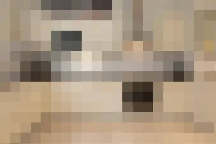 Groot Hertoginnelaan 126 Den Haag thumbnail 21