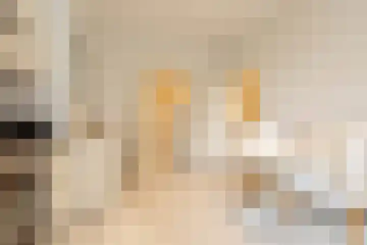 Groot Hertoginnelaan 126 Den Haag thumbnail 22