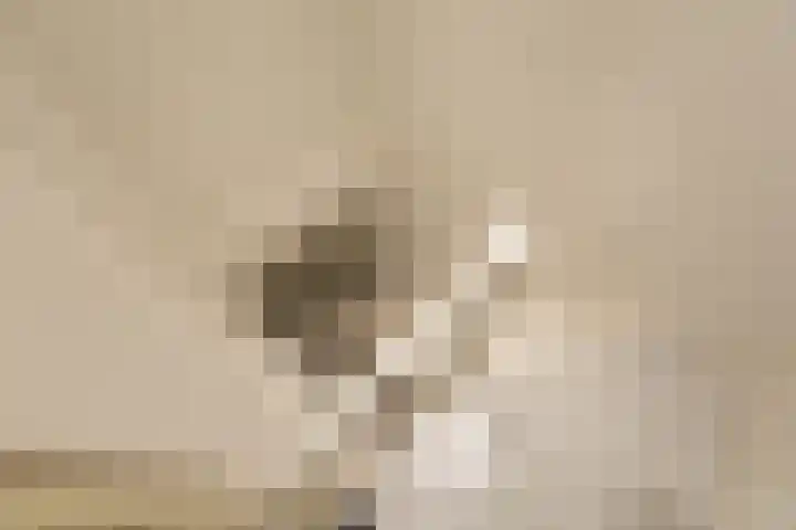 Groot Hertoginnelaan 126 Den Haag thumbnail 25