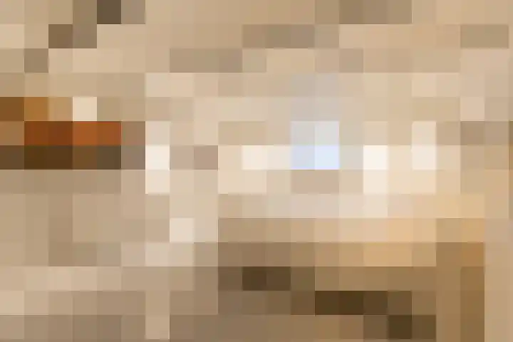 Groot Hertoginnelaan 126 Den Haag thumbnail 27