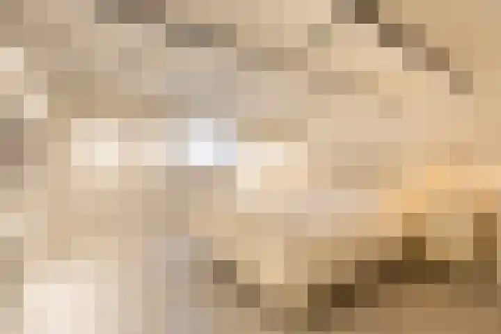 Groot Hertoginnelaan 126 Den Haag thumbnail 28