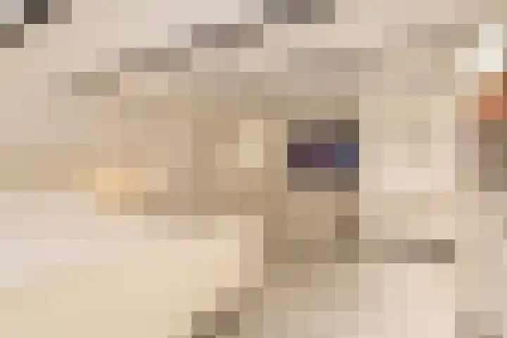 Groot Hertoginnelaan 126 Den Haag thumbnail 29