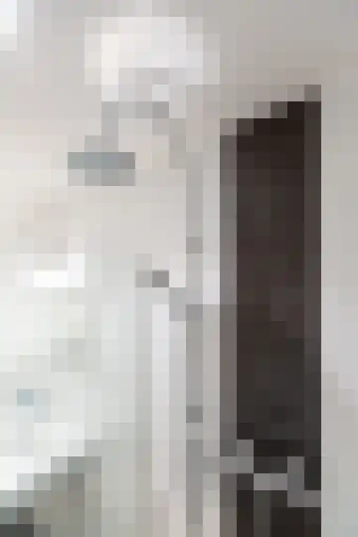Groot Hertoginnelaan 126 Den Haag thumbnail 31