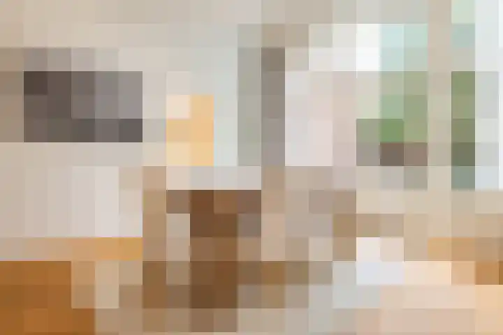 Groot Hertoginnelaan 126 Den Haag thumbnail 4