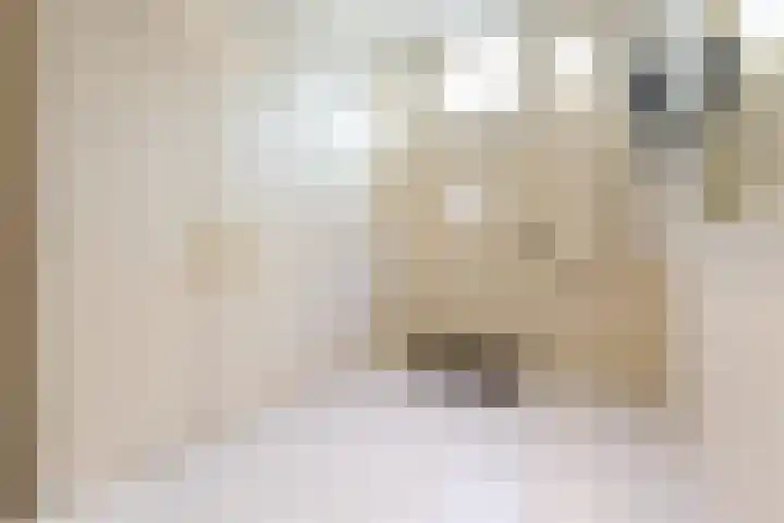Groot Hertoginnelaan 126 Den Haag thumbnail 7