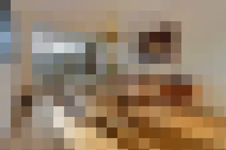 Groot Hertoginnelaan 142 A Den Haag thumbnail 18