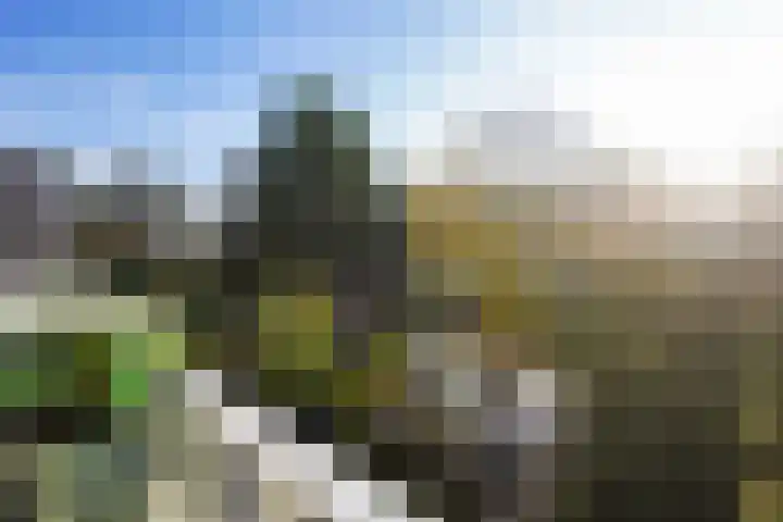 Groot Hertoginnelaan 142 A Den Haag thumbnail 29