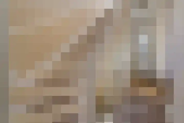 Groot Hertoginnelaan 142 A Den Haag thumbnail 33