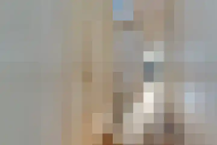 Groot Hertoginnelaan 142 A Den Haag thumbnail 36