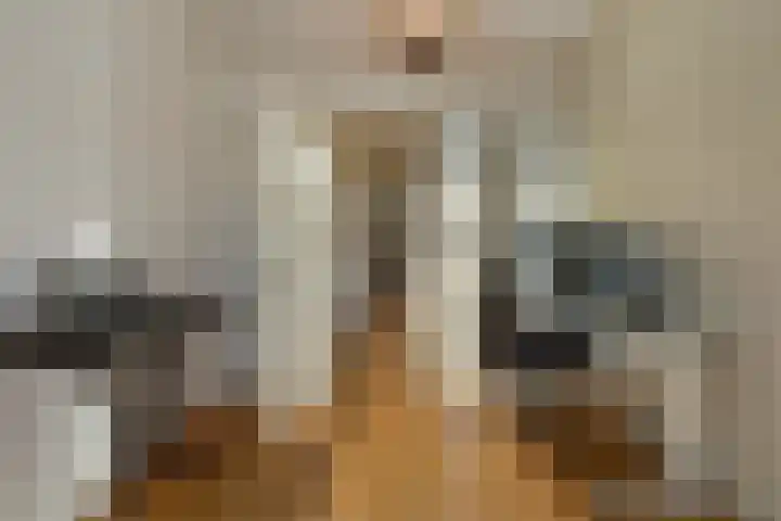 Groot Hertoginnelaan 142 A Den Haag thumbnail 39