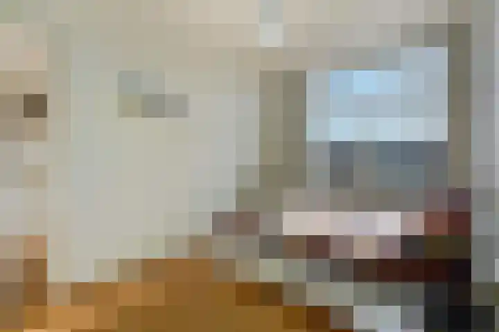 Groot Hertoginnelaan 142 A Den Haag thumbnail 47