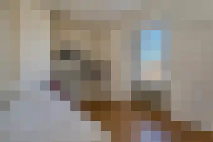 Groot Hertoginnelaan 142 A Den Haag thumbnail 49